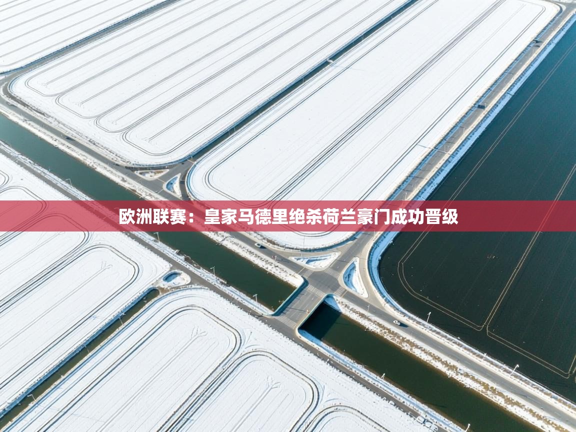 欧洲联赛：皇家马德里绝杀荷兰豪门成功晋级  第2张