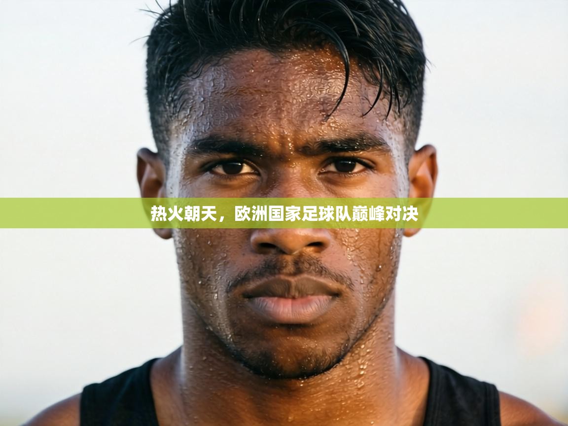 热火朝天，欧洲国家足球队巅峰对决  第1张
